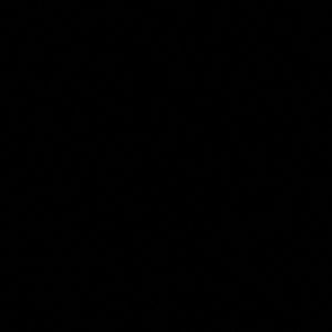 Meet your Posher, Alyce